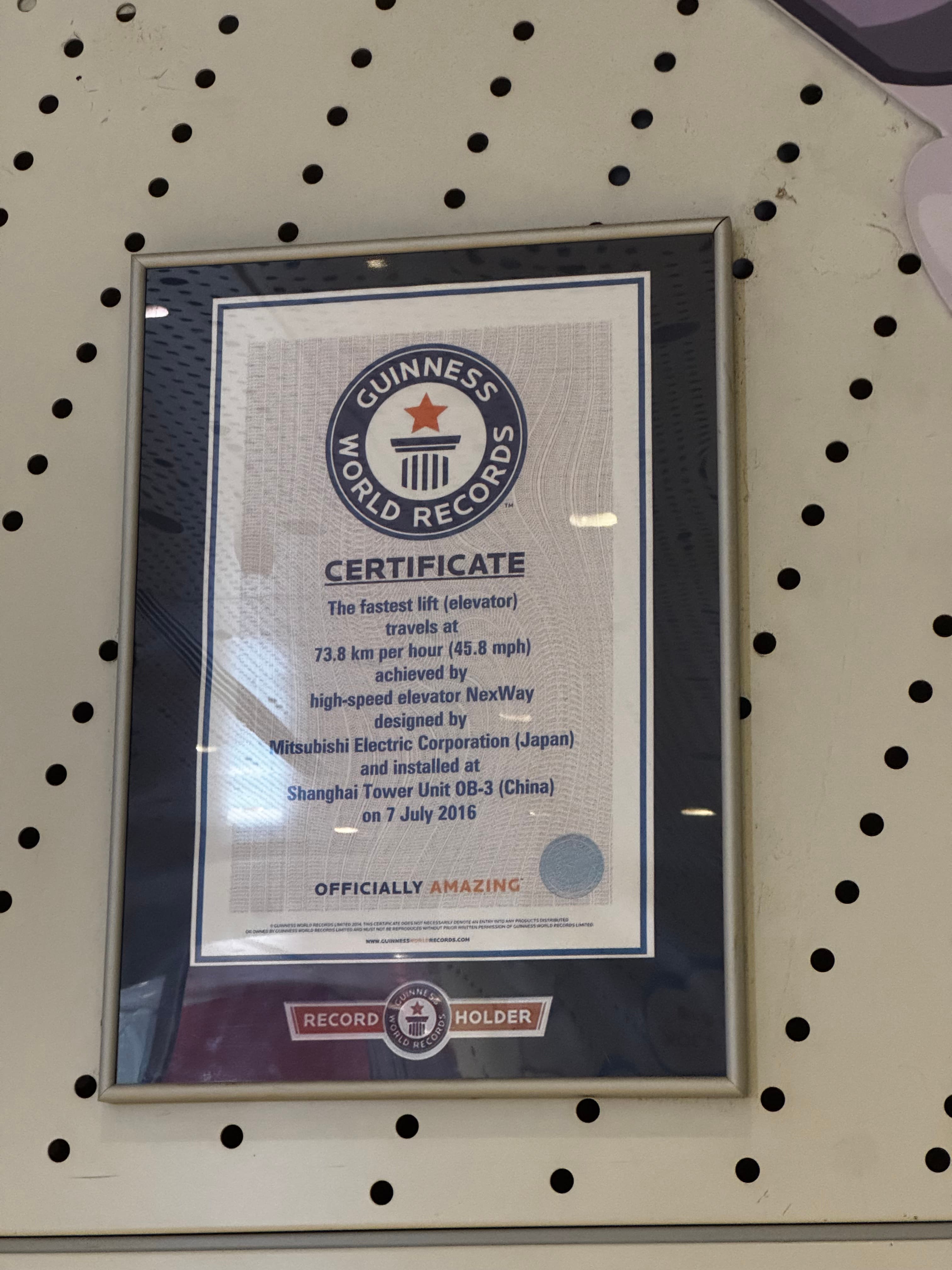 Guinness World Record Zertifikat