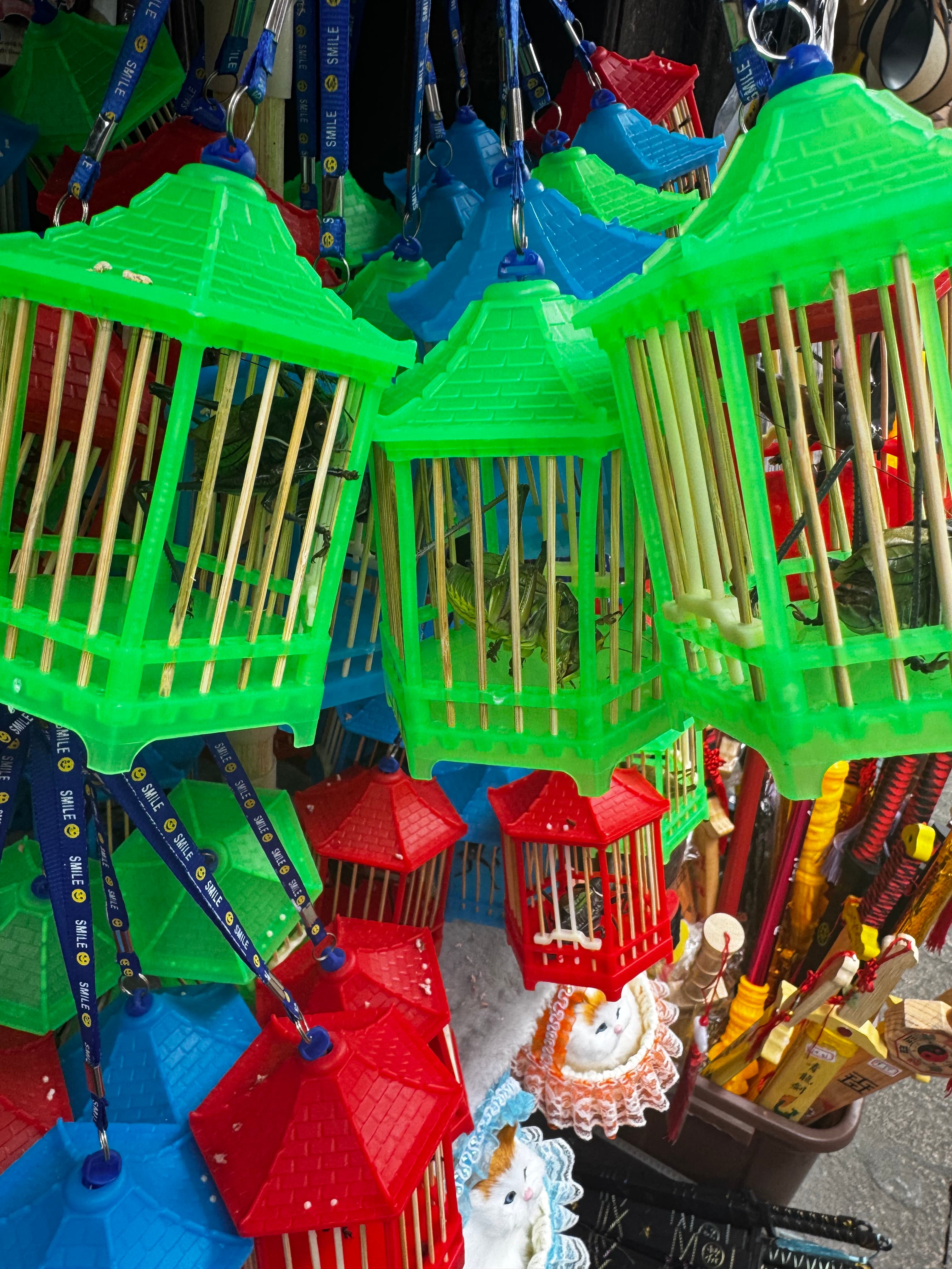 Große Grashüpfer in Käfigen