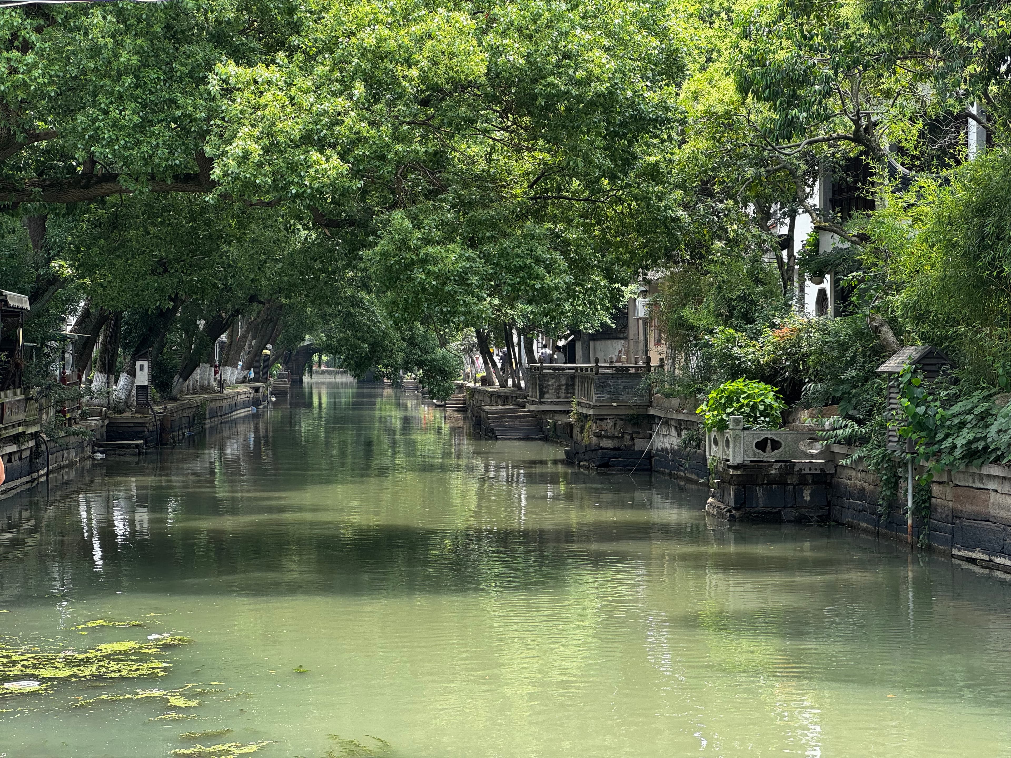 Tongli